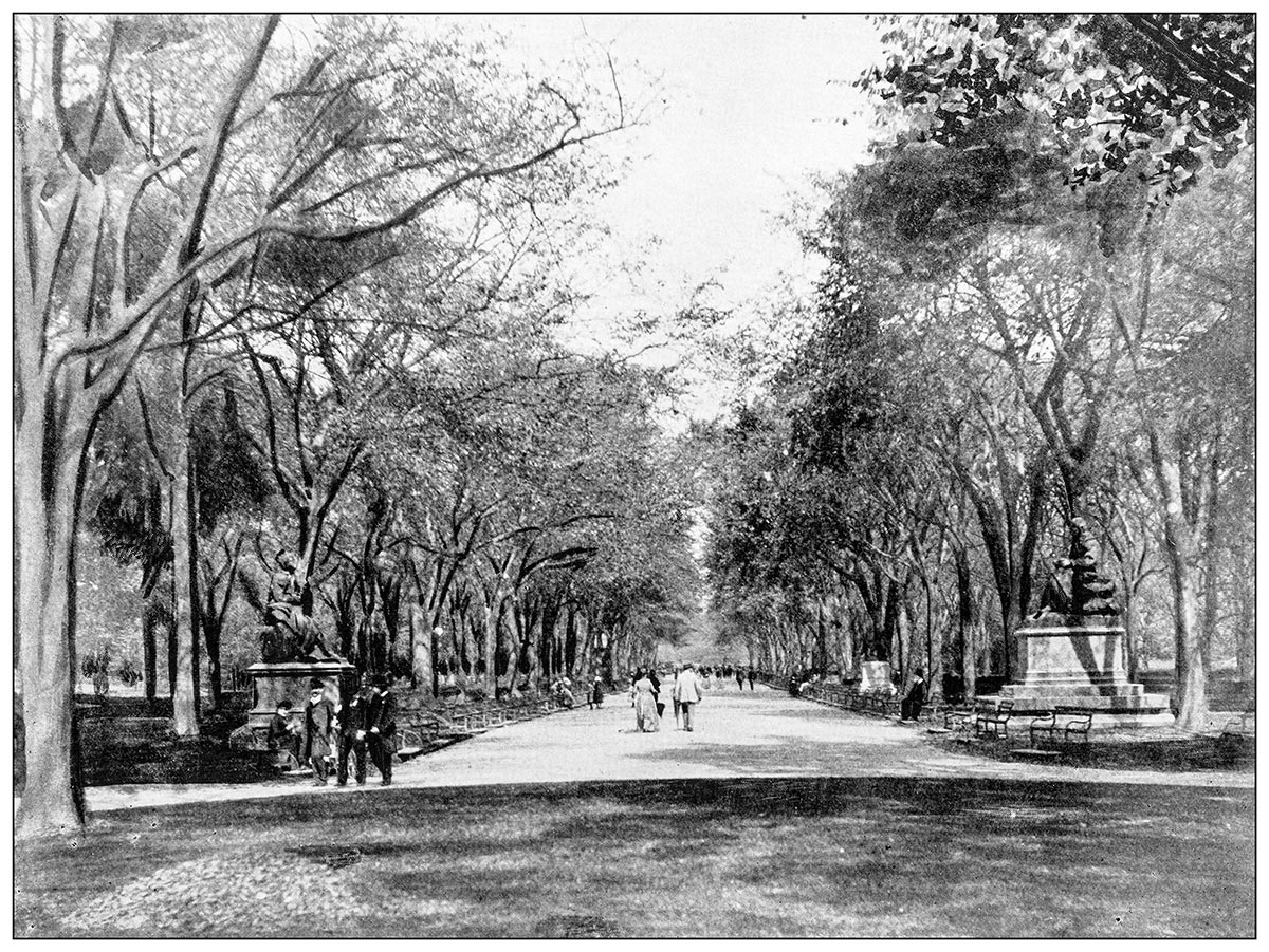 iStock photo of park